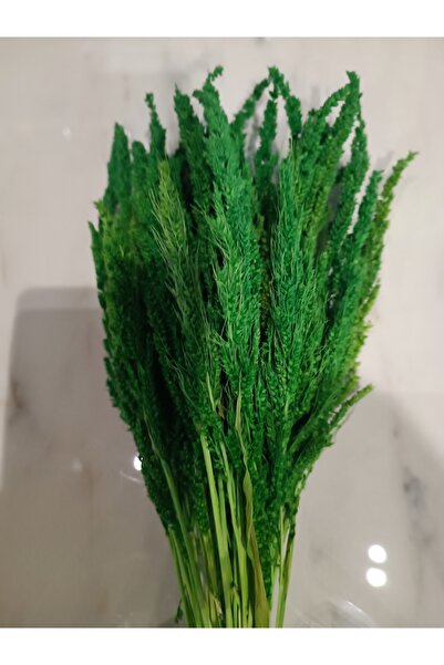 Store MercanMobilya KuruÇiçek