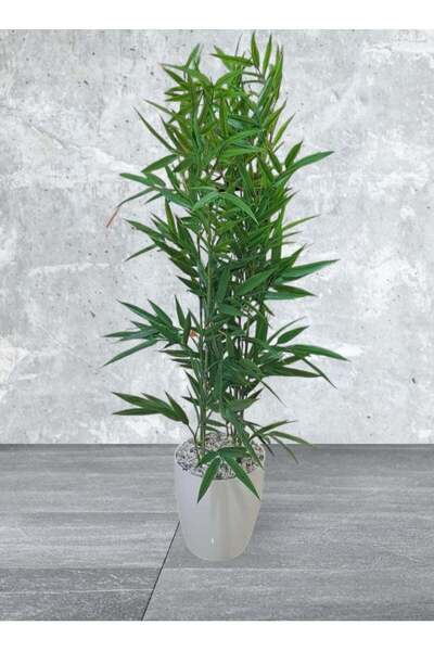 BYT ALRWASM FOR TRADE Artificial Decorative Plant Tree with Pot 90 cm