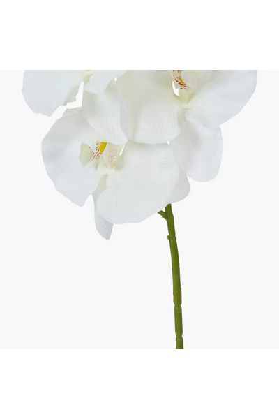 Home Box Orchid Decorative Flower Stick