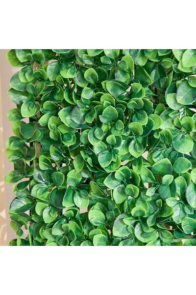 Home Box Ceilo Artificial Grass Wall Panel - 60x4x40 cm
