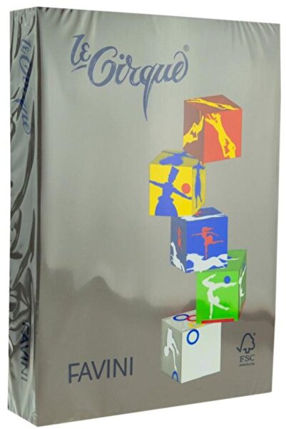 Favini Carton color 160G/MP A4 maro inchis 310