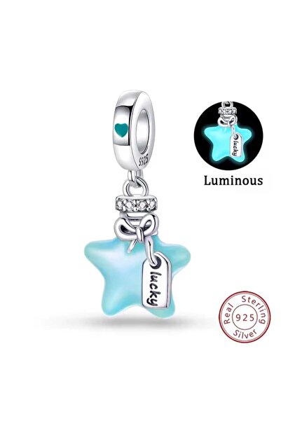 Store S925 Ayar Gümüş Yıldız Temalı Charm