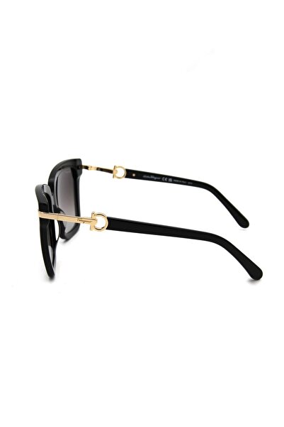 Salvatore Ferragamo Sf 1085S C011 Women Sun Glasses