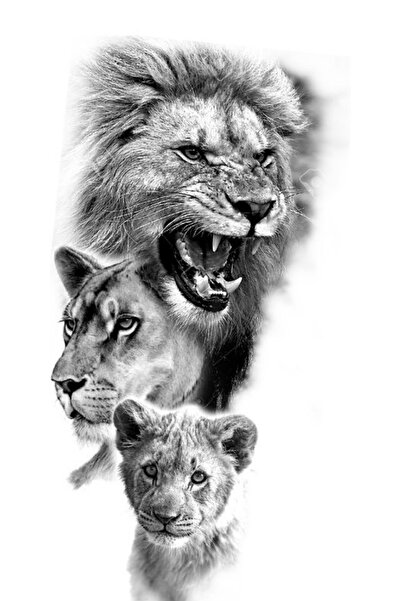 Atlas Husa Personalizata XIAOMI Redmi 9i Lion Family