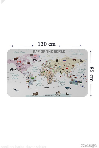 SONİKON LİNE Educational Flag World Map World Atlas Children's Room Wall Sticker, Decorative, 3813
