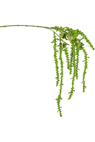 Herdekora Yapay Gypso Sarkan Yeşil 105 Cm.