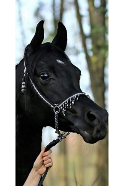 Atlas Husa Personalizata APPLE iPhone X \ XS Black Horse