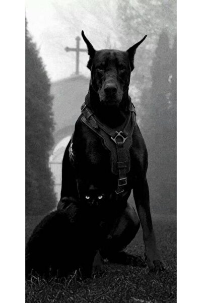 Atlas Husa Personalizata APPLE iPhone XS Black Dog