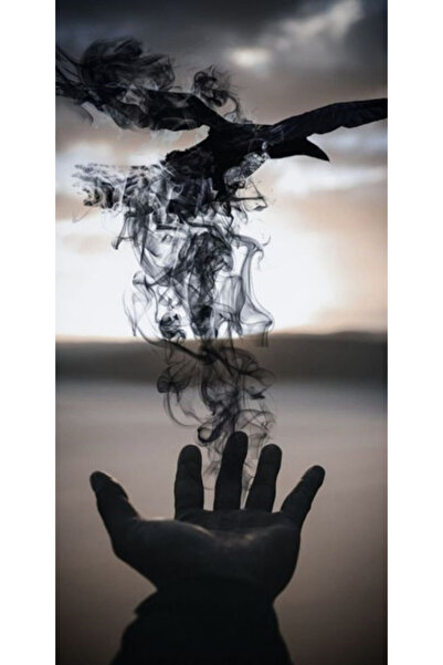 Atlas Husa Personalizata XIAOMI RedMi Note 5 \ Note 5 Pro Raven