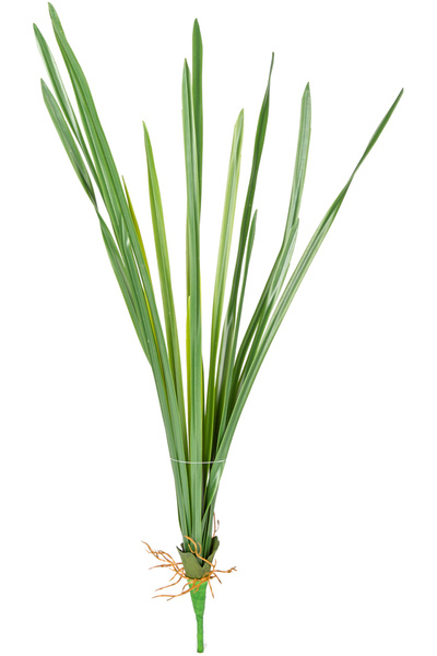 Herdekora Yapay Saz Köklü Yeşil 55 Cm.