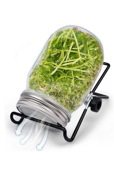 Generic Sprouting Jar with Screen Lid Sprouts Growing Kit Wide Mouth Jar