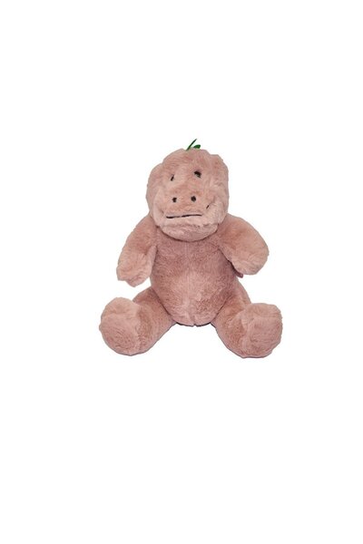 SPOR35 Girl boy kids toy 5603 30cm dinosaur girl boy kids toy educational toys