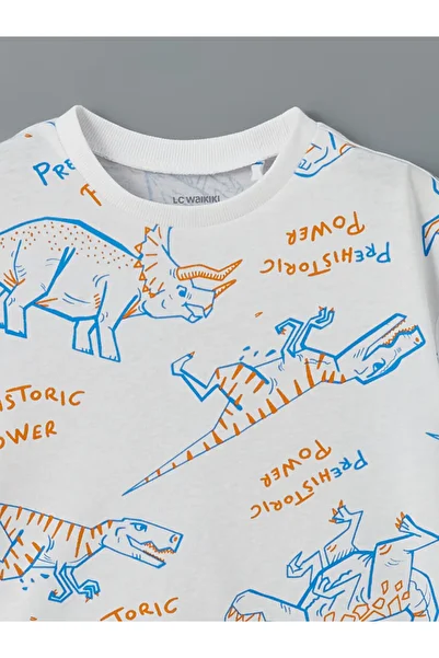 LC Waikiki Crew Neck Printed Boy's T-Shirt
