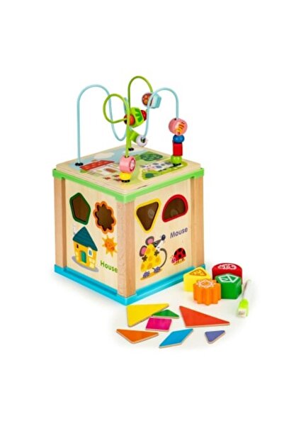 Ecotoys Educational Wooden Toy Cube for Kids, Sort Block, 4 Activities,