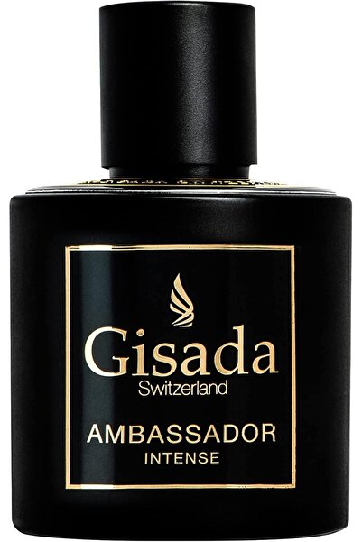 GİSADA عطر أمباسادور إنتنس للرجال من جيسادا، 100 مل