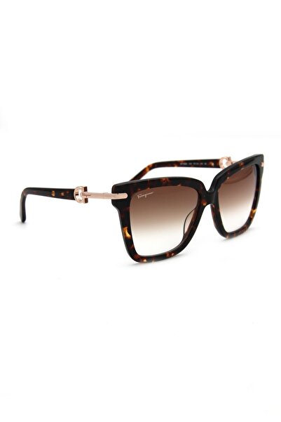 Salvatore Ferragamo Sf 1085S C219 Women Sun Glasses
