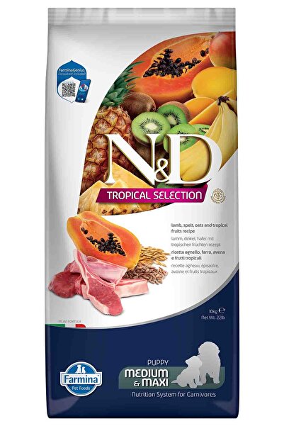 N&D ND Tropical Selection Kuzu Etli ve Tropikal Meyveli Orta ve Büyük Irk Yavru Köpek Maması 10kg Luxury