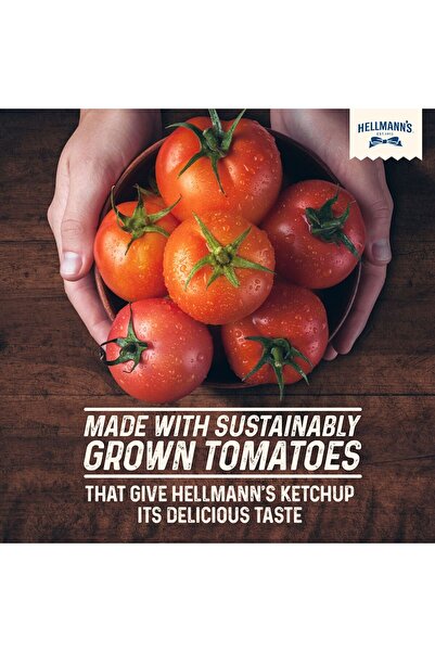 Hellmann's Tomato Ketchup 290 gRich Tangy Sauce Made with Ripe Tomatoes for Daily Meals Snacks