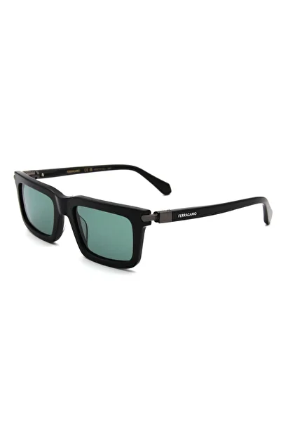 Salvatore Ferragamo Sf 2015S C001 Unisex Sun Eye