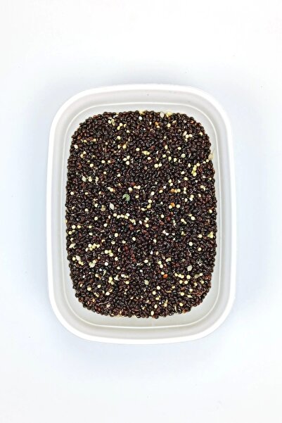 No8 Home Black Millet Plain Dust-Free Natural Fresh Bird Food - 1 kg