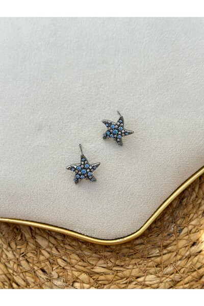 MyladyAccessoriess Blue Zircon Stone Detail Star Earrings (Steel)