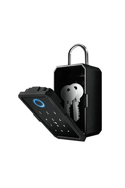 OEM Seif de perete pentru exterior, pentru chei, cu Intelligent HUB, Smart Key Box BLE, IP65, compatibil Tuya/SmartLife