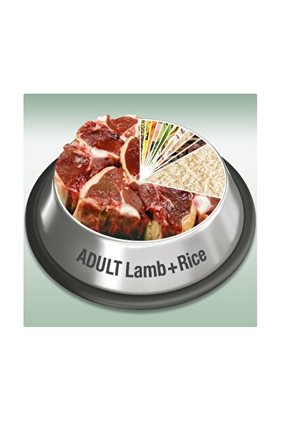 Platinum Natural Platinum Adult Miel și Orez, 5 kg