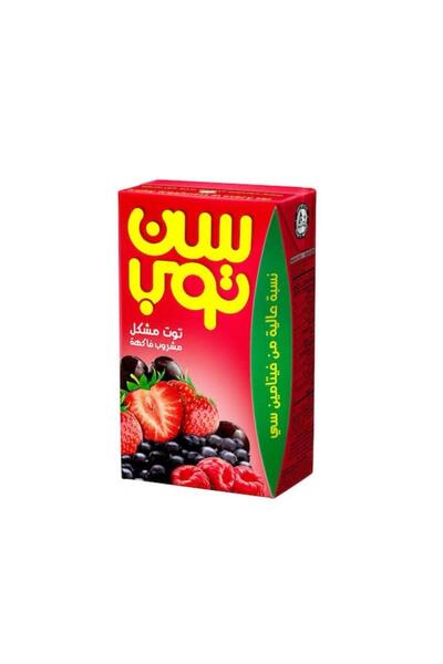 SunTop meyve karışımı 250ml