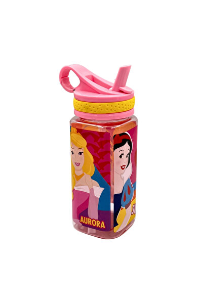 Disney Princess Flask (480ml)