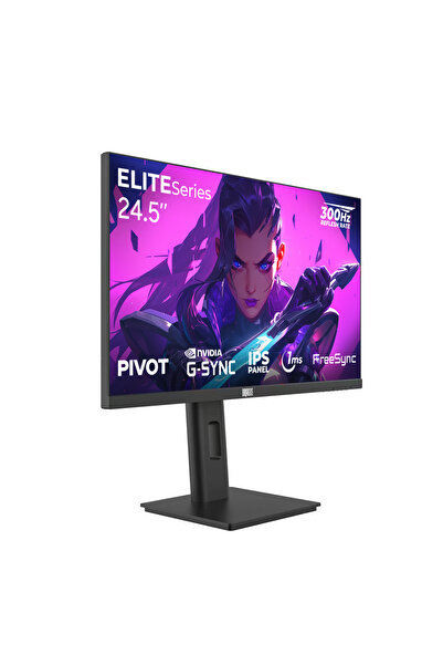 DRAGOS ELITESeries E245FHD300 1ms FHD 300Hz 24.5" FreeSync G-Sync IPS Pivot Oyuncu Monitörü