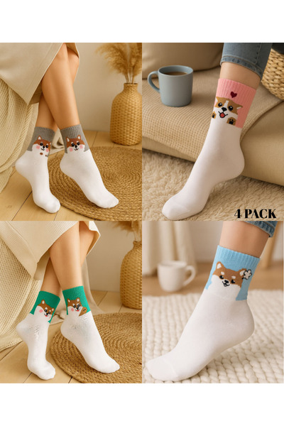 ragistore 4'lü Shiba Inu Desenli Renkli Kadın Çorap
