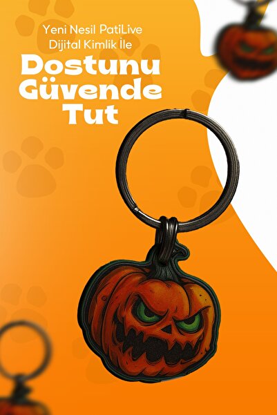Dijital Evcil Hayvan Künyesi – QR Kodlu Akıllı Kimlik Balkabağı