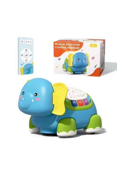 HSM Projector with Crawling Education
