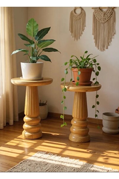 ASELYA HOME Doğal Ahşap 2’li Set Mantar Yan Sehpa Modern Vernikli Fiskos Zigo...