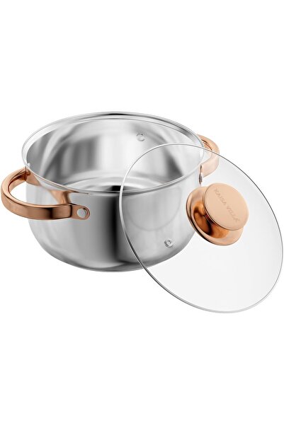 erorex وعاء حساء من الفولاذ المقاوم للصدأ، غطاء وعاء طهي، حساء، معكرونة، خضراوات، أواني طهي حثية