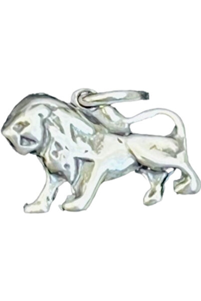 Flippy Pandantiv din Argint 925 Jolie Silver, Zodia Leu, 15 x 15 mm, 1.2 g