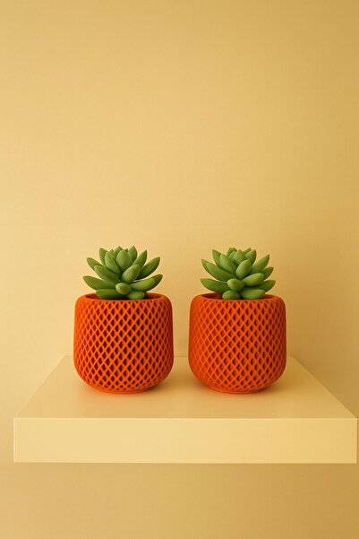 Lea Concept Mini Ikili Sukulent Saksı Terracota - El Yapımı Beton - Masaüstü ...