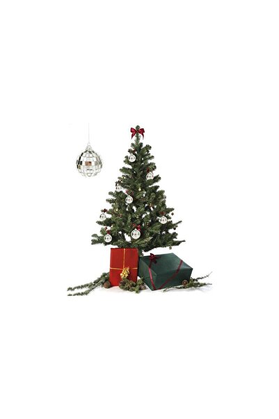 roco paper Disko Topu Seti, 4 Cm - 6 Adet, Mini Aynalı Disco Topları, Ağaç Süsü, Pasta Dekoru, Parti Aksesuarı