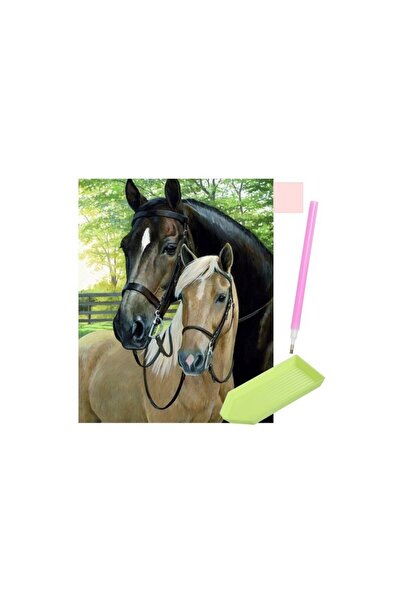 Andyluc Broderie, Pictura, Mozaic cu Diamante 30 x 40 Cai