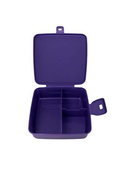 Tatlı Sebep Sweet Reason Frozen Disney Lunch Box Lunch Box