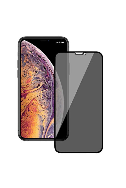 Intelli Sticlă securizată pentru confidențialitate pentru Apple iPhone 12, 9H...