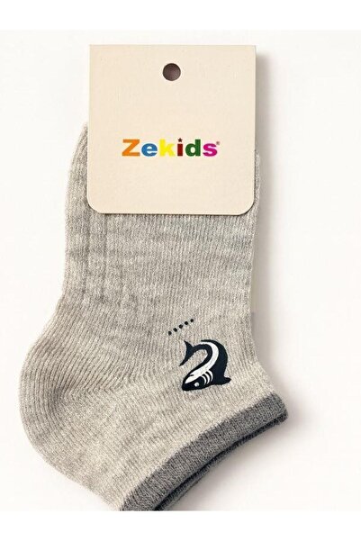 Zekids Boy's Dolphin Patterned Cotton Booties Socks