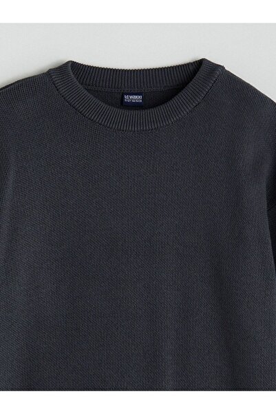 LC Waikiki LCW Kids Crew Neck Boy Sweatshirt