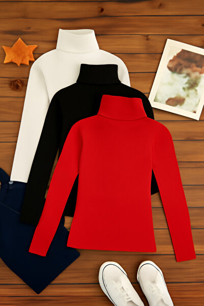 ribac Pack of 3 Women's Basic Full Turtleneck Sweaters