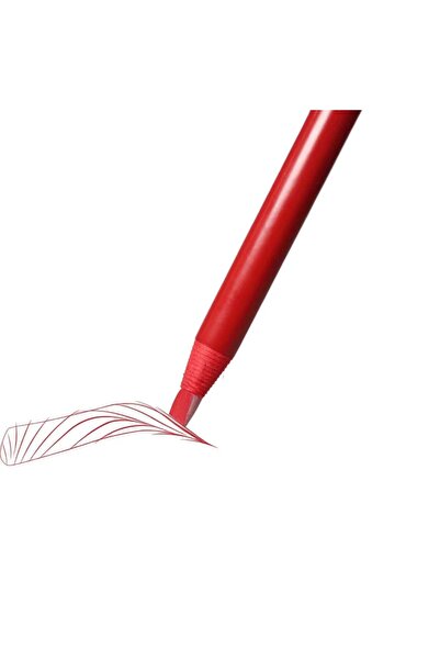 BİOMASER Dudak kalıcı makyaj silinmez profesyonel makyaj tasarım kırmızı kalem pmu lip