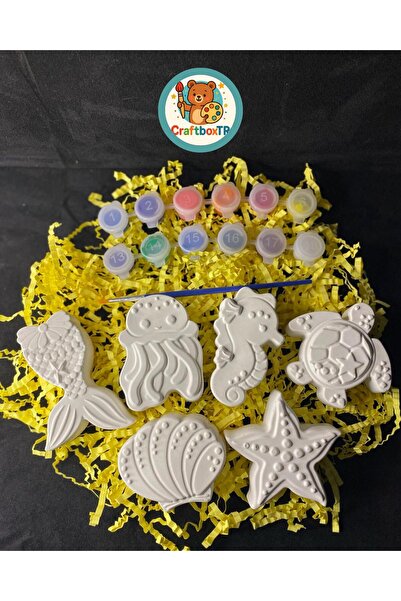 CRAFTBOXTR OKYANUS (3D) TAŞ BOYAMA OKYANUS SETİ Ç (6 ADET) Çocuk Kendin Yap,d...