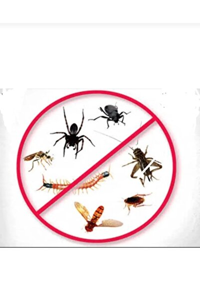 Icon 10Cs 250ML Kalıcı Akrep Pire Kalorifer Böceği İlacı/Ölçek Hediyeli/2LT Pompa