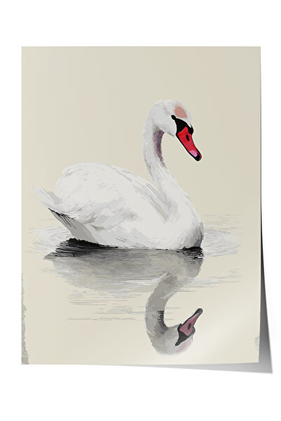 Zestia Poster fără ramă, Lebădă albă și reflexie, Poster decorativ pentru dor...
