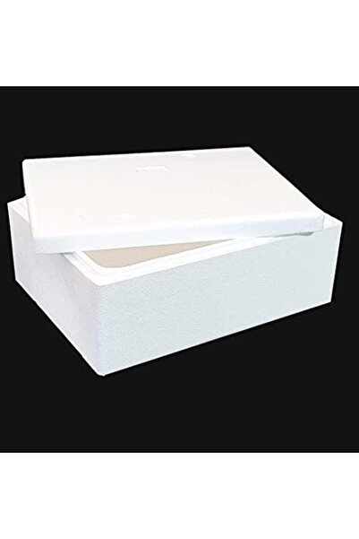 GO2CAMPS صندوق تبريد حراري ١٠ كجم مع غطاء ٢٠ لترًا | صندوق تبريد من البوليستر...