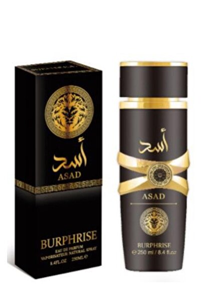 BURPHISE BODY MIST ASAD 250ML